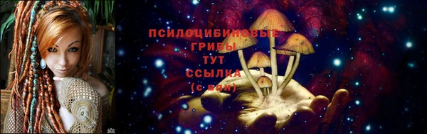 apvp Баксан