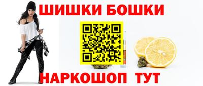 индика Усть-Илимск