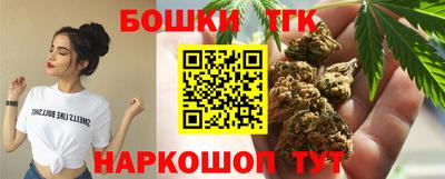 индика Усть-Илимск