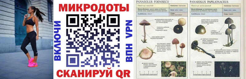 Псилоцибиновые грибы мицелий  Радужный 