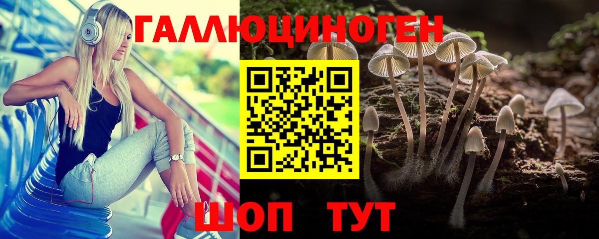 Псилоцибиновые грибы мухоморы Радужный