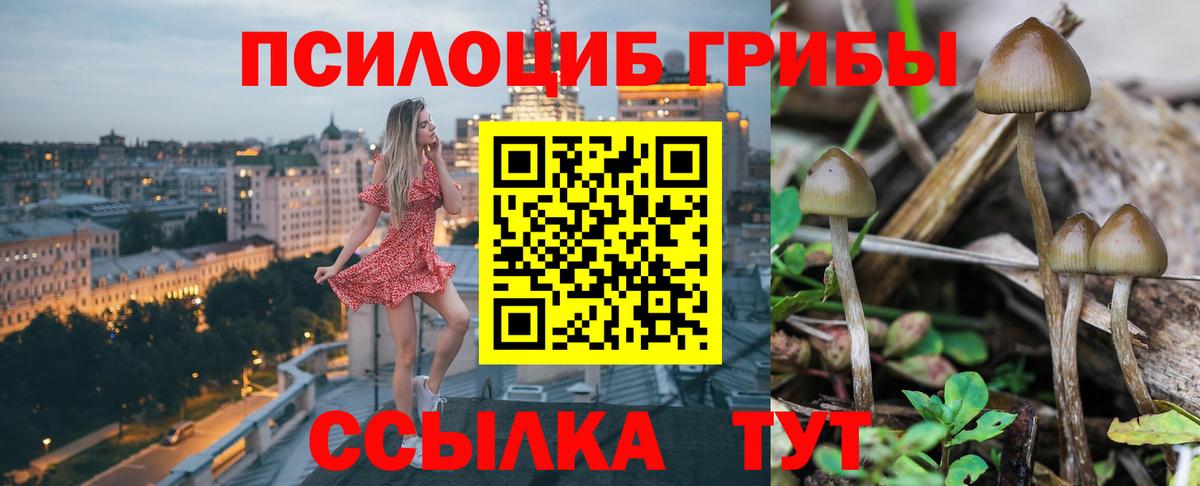 Псилоцибиновые грибы GOLDEN TEACHER  Вход с VPN  Радужный 